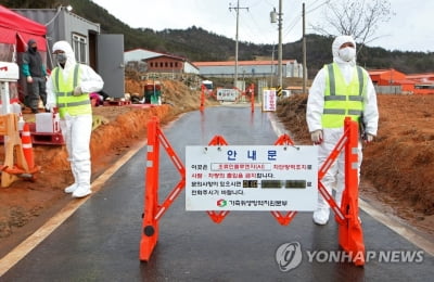 영암 산란계 농장서 H5형 AI…올겨울 전남 14번째