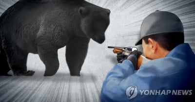 울산 곰 사육농장서 곰 3마리 탈주 후 2명 사망…연관성 조사