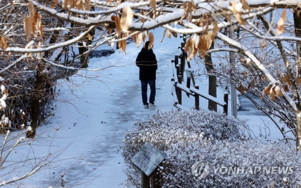 중부지방 대설주의보에 중대본 1단계…"제설작업 철저히"