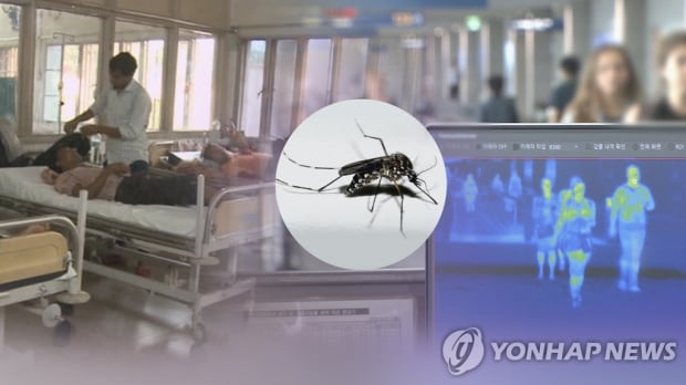 Dengue fever patients in Seoul: 0 last year → 34 this year… Impact of the resumption of overseas travel