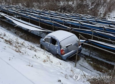 10㎝ 눈에 도로 '미끌'…강원 교통·낙상사고 잇따라(종합)