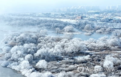 최강 한파에 은빛 왕국 변신한 춘천…소양강 상고대 '활짝'