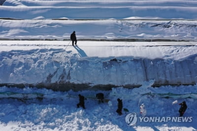 전남 폭설 피해 늘어…126동 9억2천만원 재산피해(종합)