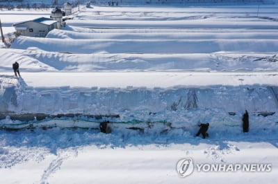 북한 무인기 도발에 군 폭설 피해지역 복구지원 취소