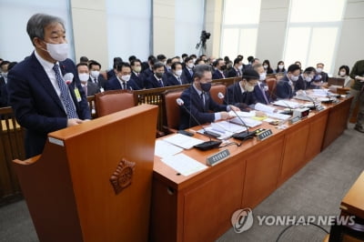 이태원 국조 공방…野 컨트롤타워 질타, 與는 '신현영 청문회'(종합)