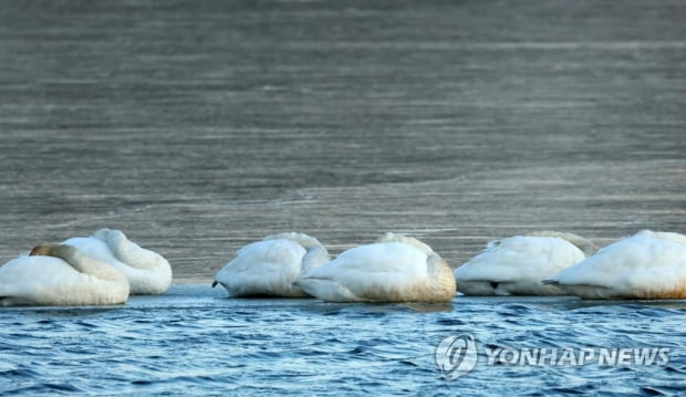 수도권에 눈 날림…서울 낮 최고 -2도