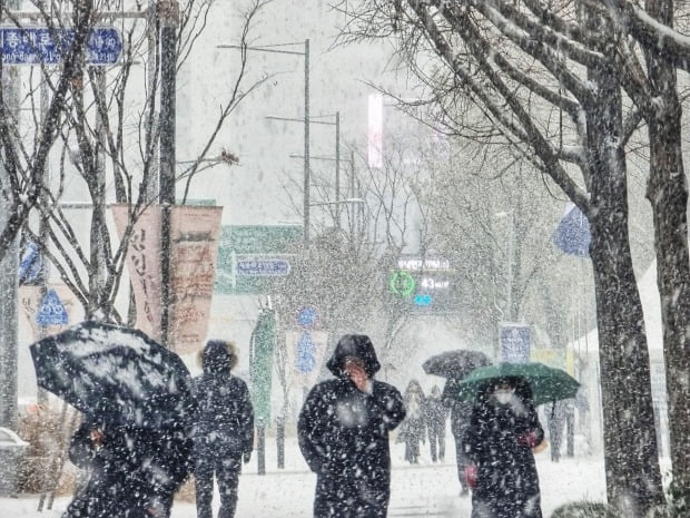 서울 중구 서울시청 인근에 폭설이 쏟아지고 있다. 사진=뉴스1