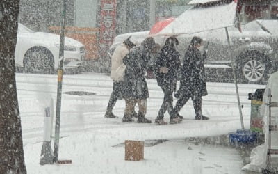 광주·전남 '대설경보' 최고 18㎝ 폭설…내일까지 눈 더 내려