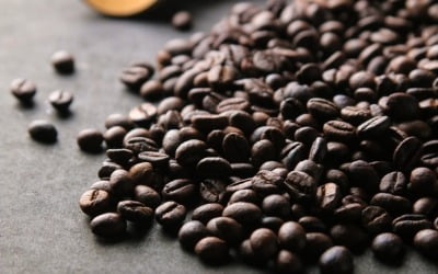 작황 개선에 급락한 커피 가격…장기적으론 상승 전망