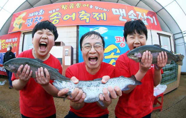 [포토] 제14회 평창송어축제