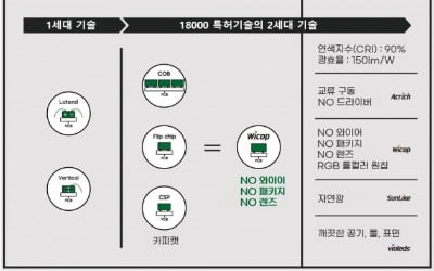 서울바이오시스, CES 디스플레이 분야 혁신상