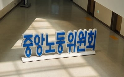 "사업장에 외부인 들인 조합원, 징계 안돼"…중노위 재처분