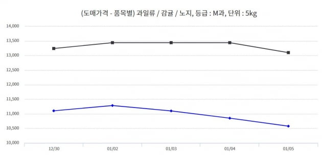 1년 전보다 오른 감귤 가격(자료=농산물유통정보)