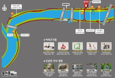 용인특례시, 기흥구 갈천교~영덕잠수교 사이 신갈천 1km 구간 '시민편의 시설 조성해 호평받아'