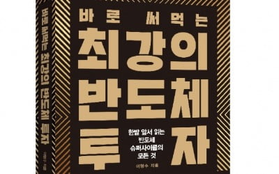 [신간] 불황에 빛 발하는 반도체 투자 전략은…바로 써먹는 최강의 반도체 투자