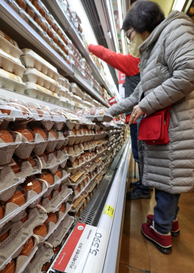 [포토] 계란값 폭등 대비 스페인산 계란 공급