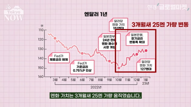 올해 엔화 환율, 와타나베 부인에 달렸다? [정영효의 일본산업 분석]