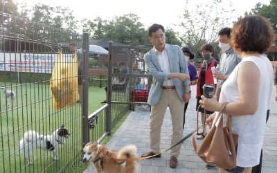 양천구, 움직이는 댕댕이 쉼터 만든다