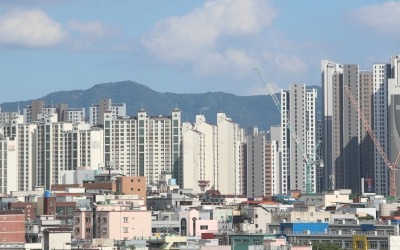 "도심 방 3개 새 아파트 전셋값이 서울 화곡동 원룸 수준"