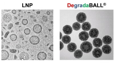 레모넥스 '자체 약물전달체' 적용 mRNA 코로나 백신 임상 의미는?