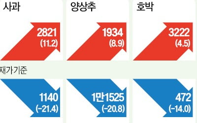 치솟는 부추값…강추위로 출하량 줄어