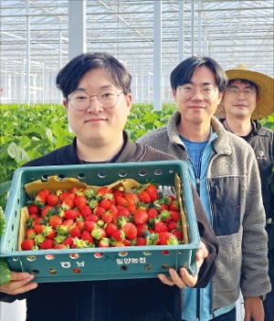 서진일(왼쪽부터), 배현경, 김민규 씨가 11일 경남 밀양 삼랑진읍에 있는 ‘스마트팜 혁신밸리’에서 재배해 수확한 딸기에 대해 설명하고 있다.  
