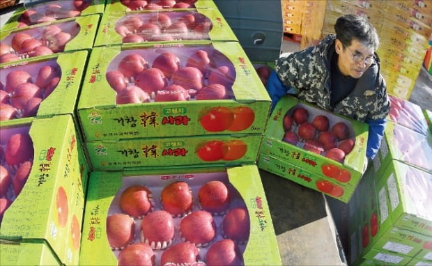 [포토] “거창사과로 설 선물하세요”