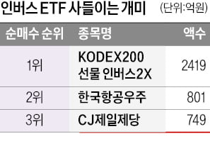 "탠 카지노 랠리 오래 못갈 것"…곱버스 ETF 올라탄 개미