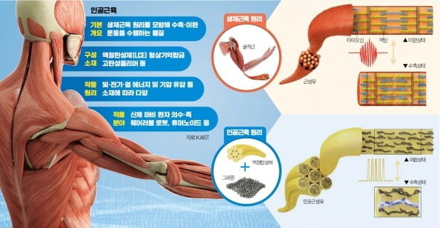 그래픽=김선우 기자