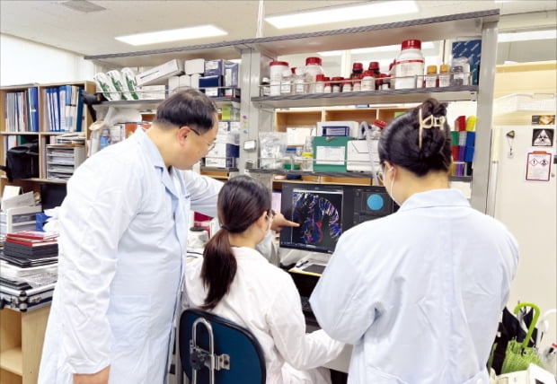 한국생명공학연구원 줄기세포융합연구센터팀이 오가노이드 관련 연구를 진행하고 있다.  생명연 제공 