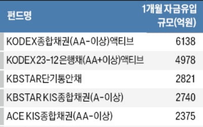 연내 금리인하 기대감…채권 ETF에 2조 몰려