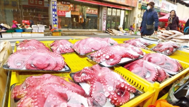 [포토] “조상님께 문어 한 마리 올리세요”   