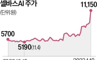 '초거대 챗봇' 인기…셀바스AI 급등