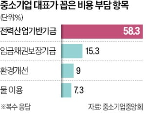 "月 5억 내던 전기료 8억 나와…英·獨처럼 中企 할인 필요"