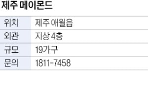 제주 메이몬드, 바다·한라산 조망…세컨드 하우스 적합