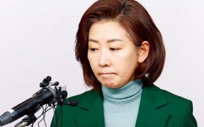 "전대 역할 없다"지만…수도권서 커지는 '나경원 역할론'