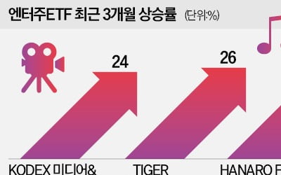 "뭉치면 더 뛴다"…엔터주 ETF 훨훨