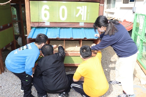 [고침] 지방(부안 시골학교 천사들의 아름다운 선행…달걀…)