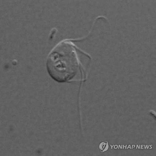 우주 탄생부터 살펴본 세계사 오디세이…신간 '빅 히스토리'