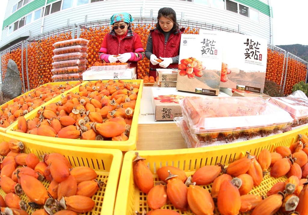 '궁중 진상품' 경남 함안 곶감…6∼8일 축제로 만난다