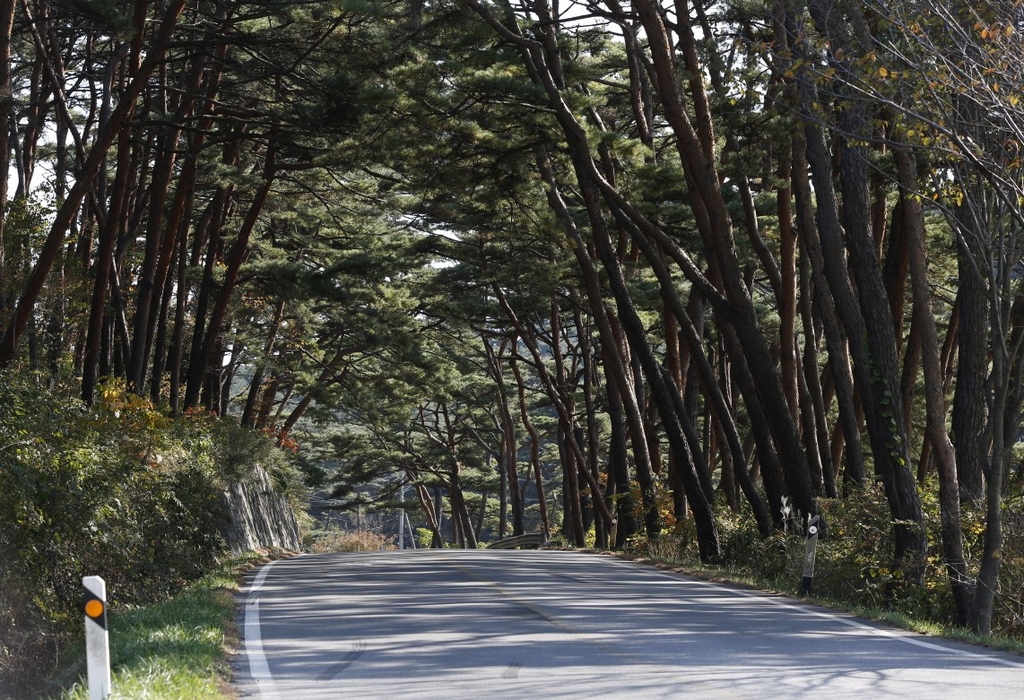 태안군, 충남 산림자원연구소 '안면도 유치' 총력