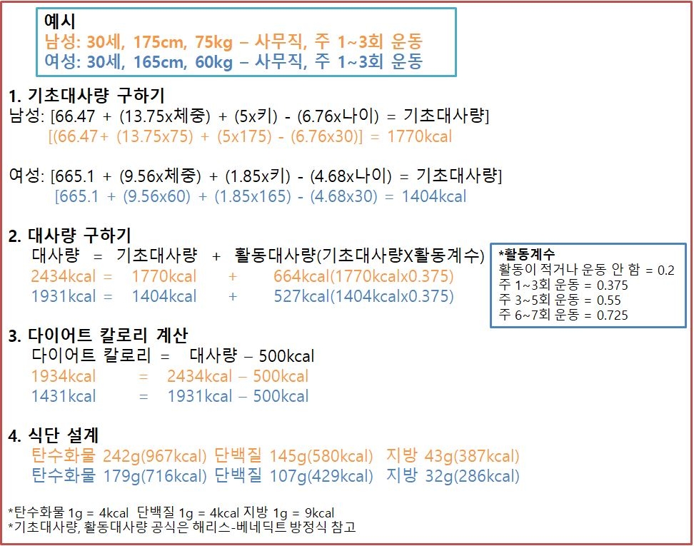 [인턴액티브] 먹으면서 할 수 있는 다이어트…기자가 해봤다