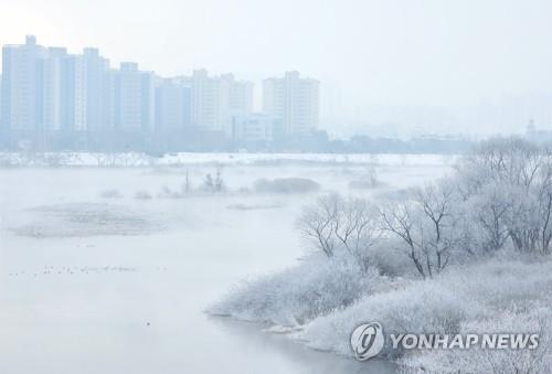 강원 내륙 짙은 안개·살얼음…"교통안전 주의"