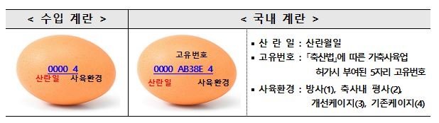 스페인서 달걀 121만개 시범 수입… 고병원성 AI 확산 상황 대비