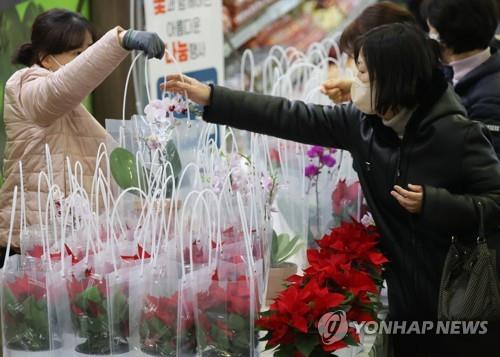 "곧 졸업시즌 대목인데…" 생산비 급등에 화훼농가 울상