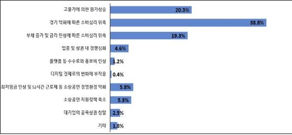 소상공인 74% "올해 경영상황 악화할 것…소비심리 위축"