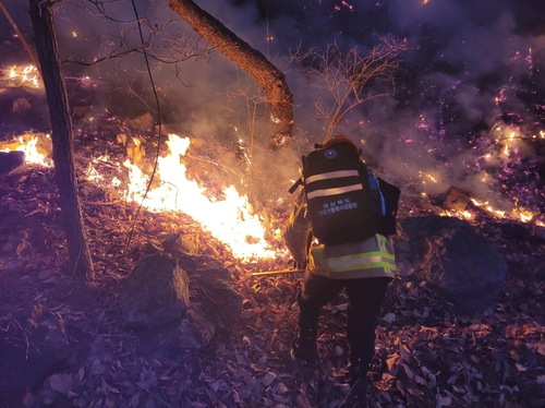 경북 성주 산불 12시간만에 주불 진화…10ha가량 소실(종합2보)