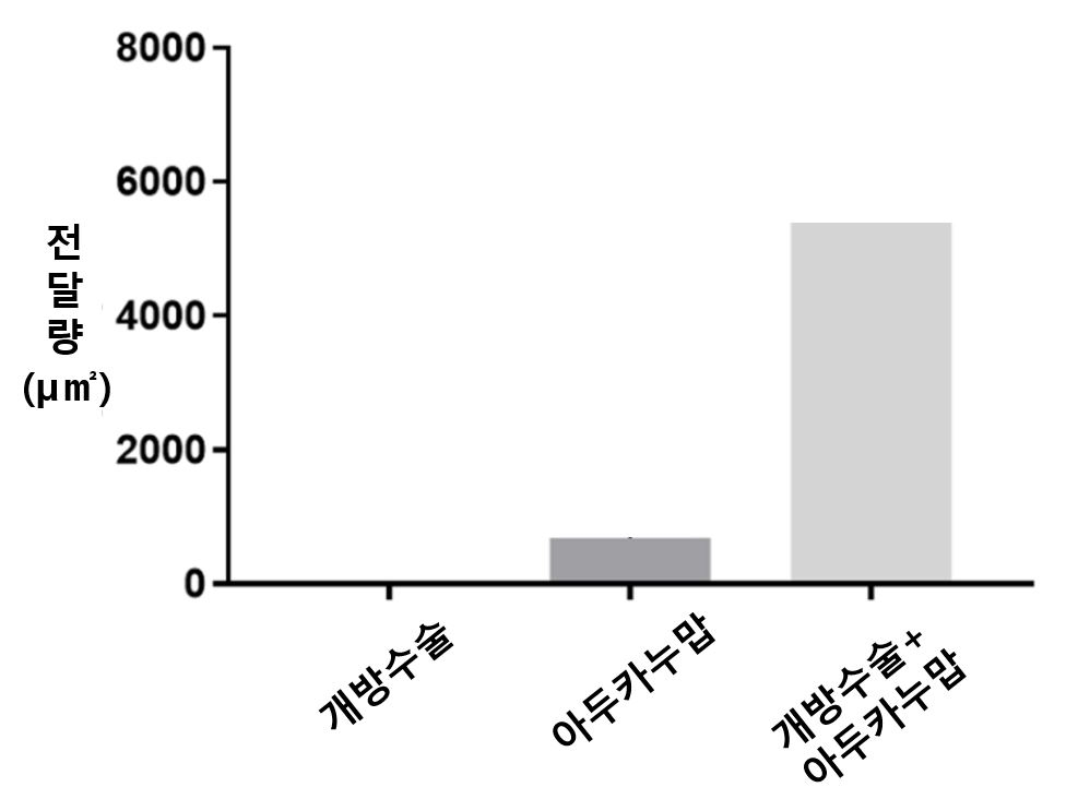 "치매치료제, 뇌혈관장벽 열어 투약하면 전달률 8.1배↑"