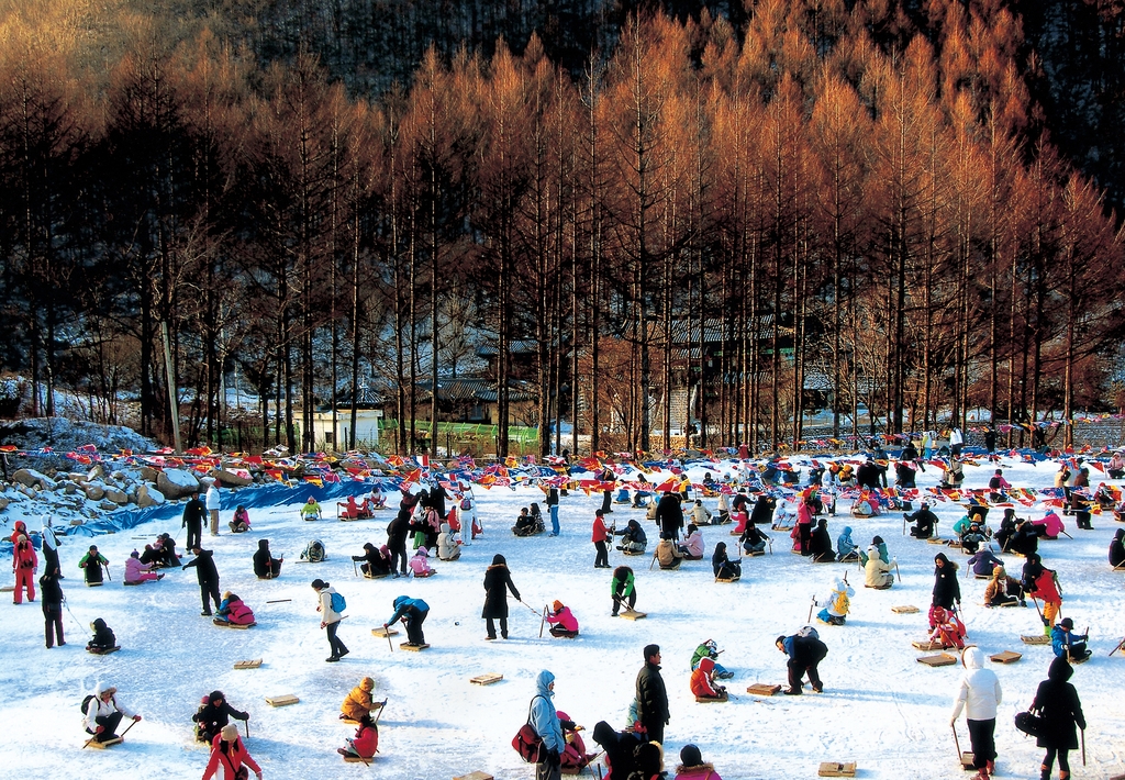태백산 눈축제 '이상한 겨울 동화 나라'의 다운타운은?