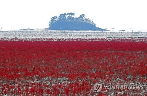 전남 관광객 20~30대 비중, 전국 시도 중 가장 낮아